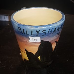Ballyshannon Cup